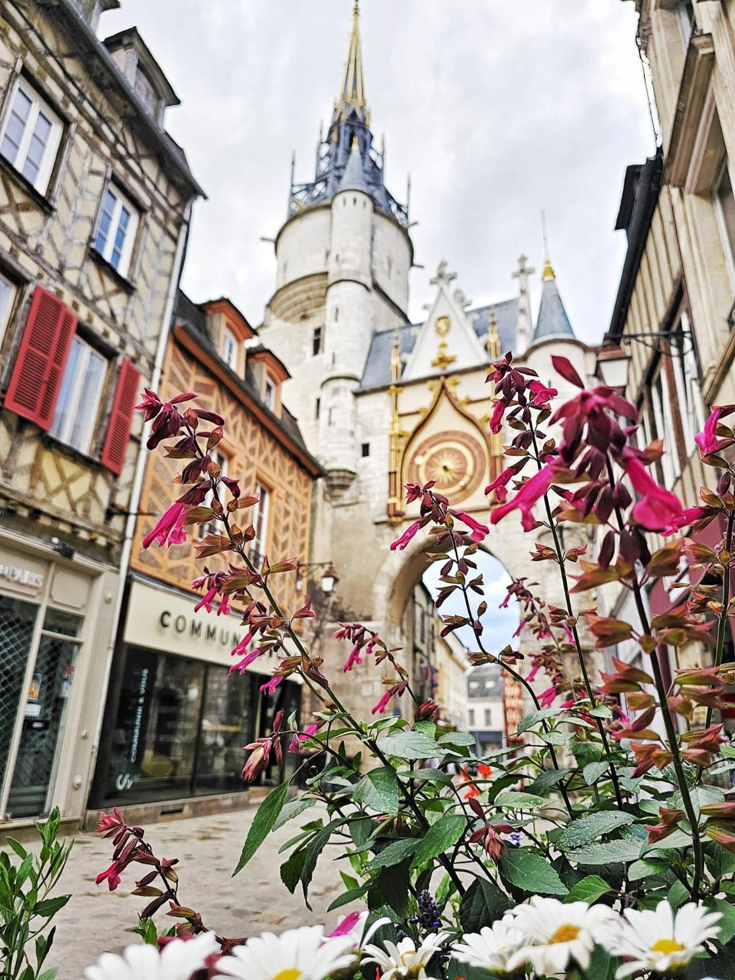 Aux'Cerfs - A Deux Pas De L'Abbaye Apartment Auxerre Exterior photo